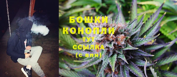 бошки Алексин