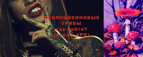 сатива Алзамай