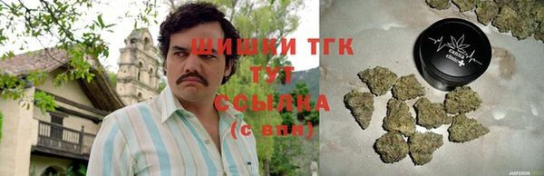 бошки Алексин