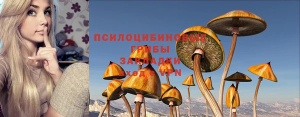 сатива Алзамай