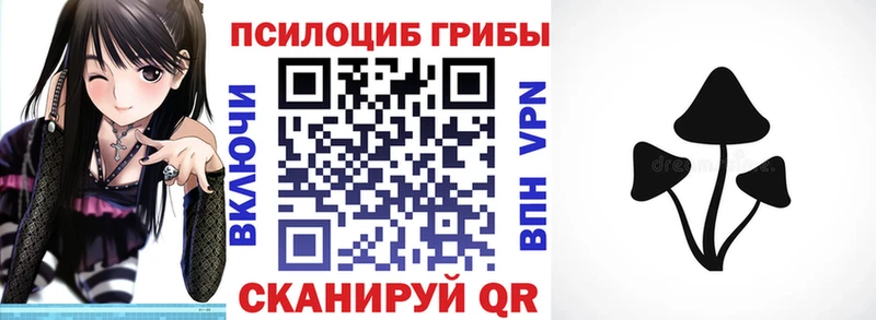 Купить закладки  Волхов  Галлюциногенные грибы Psilocybe 
